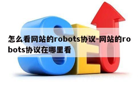 怎么看网站的robots协议-网站的robots协议在哪里看 第1张