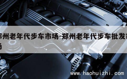 郑州老年代步车市场-郑州老年代步车批发市场 第1张