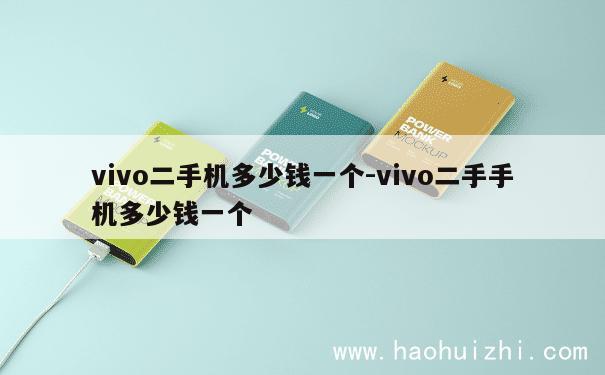 vivo二手机多少钱一个-vivo二手手机多少钱一个 第1张