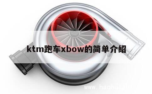 ktm跑车xbow的简单介绍 第1张