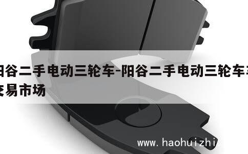 阳谷二手电动三轮车-阳谷二手电动三轮车车交易市场 第1张