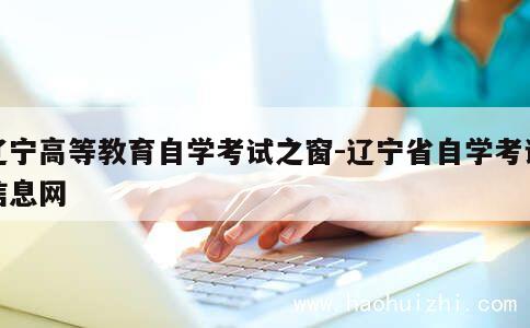 辽宁高等教育自学考试之窗-辽宁省自学考试信息网 第1张