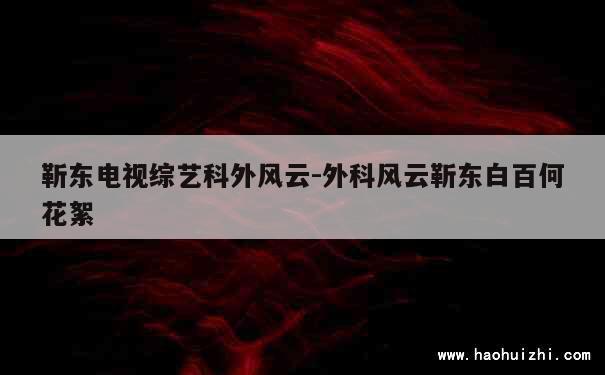 靳东电视综艺科外风云-外科风云靳东白百何花絮 第1张