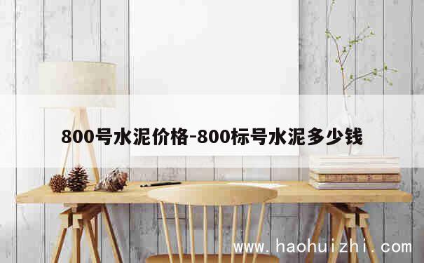 800号水泥价格-800标号水泥多少钱 第1张