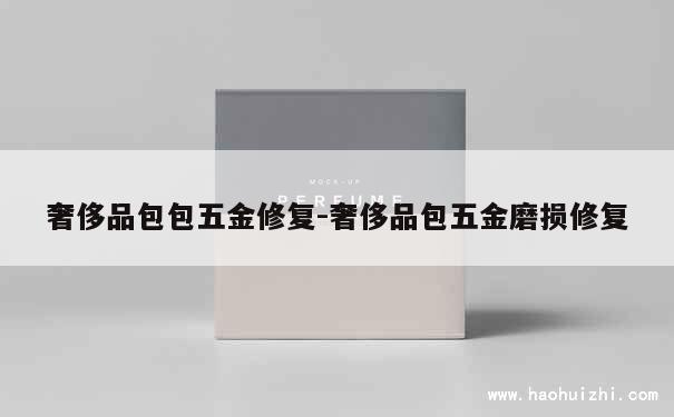 奢侈品包包五金修复-奢侈品包五金磨损修复 第1张