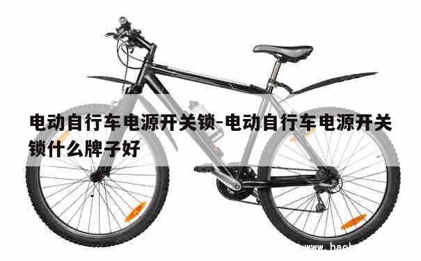 电动自行车电源开关锁-电动自行车电源开关锁什么牌子好 第1张