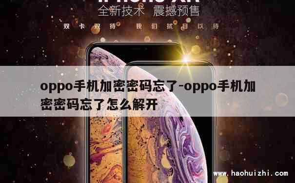 oppo手机加密密码忘了-oppo手机加密密码忘了怎么解开 第1张