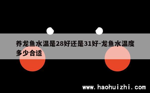 养龙鱼水温是28好还是31好-龙鱼水温度多少合适 第1张