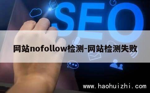 网站nofollow检测-网站检测失败 第1张