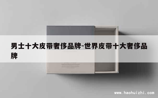 男士十大皮带奢侈品牌-世界皮带十大奢侈品牌 第1张