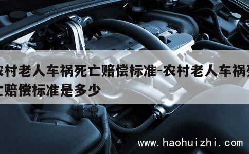 农村老人车祸死亡赔偿标准-农村老人车祸死亡赔偿标准是多少 第1张