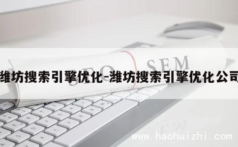 潍坊搜索引擎优化-潍坊搜索引擎优化公司 第1张