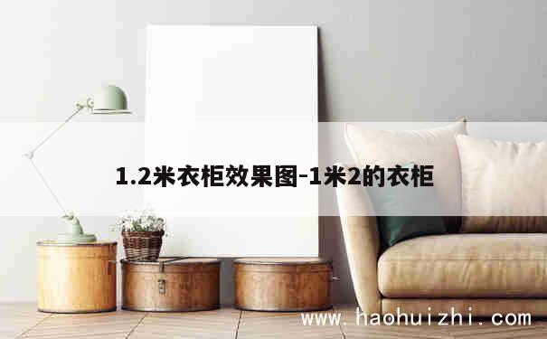 1.2米衣柜效果图-1米2的衣柜 第1张