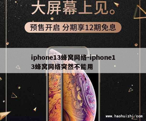 iphone13蜂窝网络-iphone13蜂窝网络突然不能用 第1张