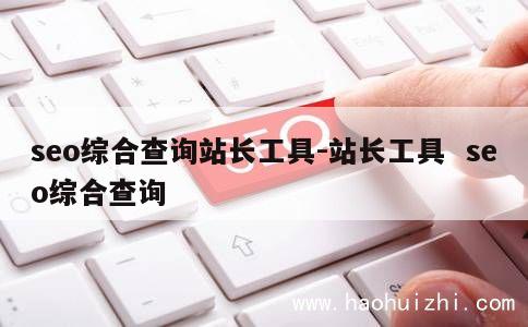 seo综合查询站长工具-站长工具  seo综合查询 第1张