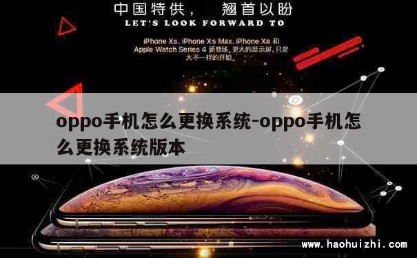 oppo手机怎么更换系统-oppo手机怎么更换系统版本 第1张