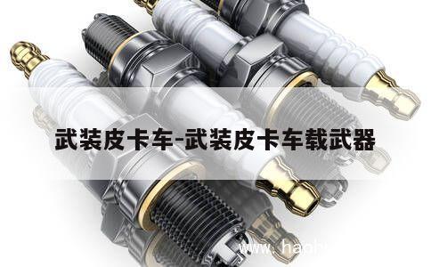 武装皮卡车-武装皮卡车载武器 第1张