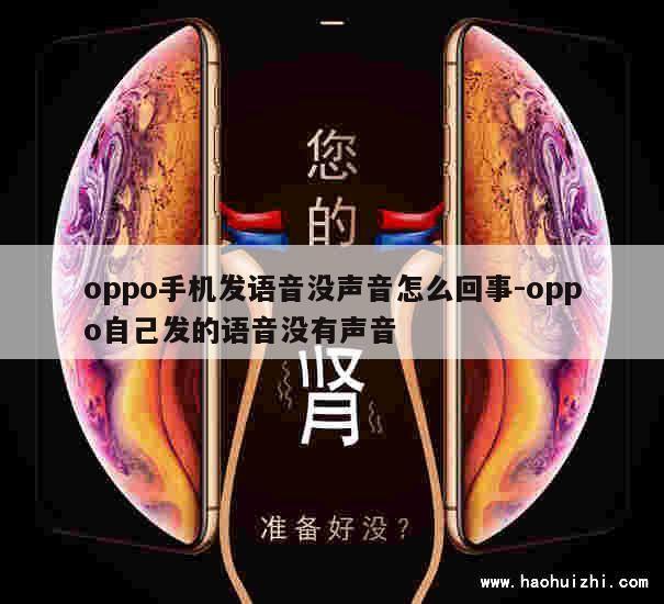 oppo手机发语音没声音怎么回事-oppo自己发的语音没有声音 第1张