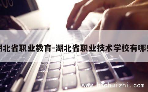 湖北省职业教育-湖北省职业技术学校有哪些 第1张