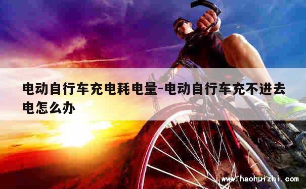 电动自行车充电耗电量-电动自行车充不进去电怎么办 第1张