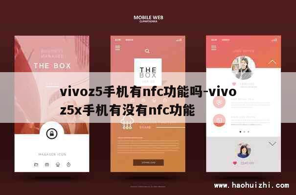 vivoz5手机有nfc功能吗-vivoz5x手机有没有nfc功能 第1张