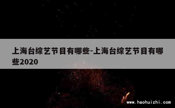 上海台综艺节目有哪些-上海台综艺节目有哪些2020 第1张