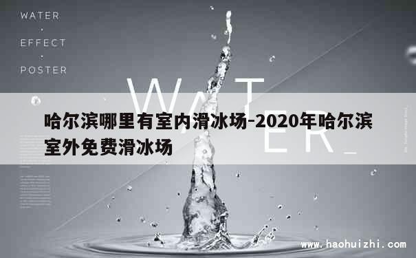 哈尔滨哪里有室内滑冰场-2020年哈尔滨室外免费滑冰场 第1张