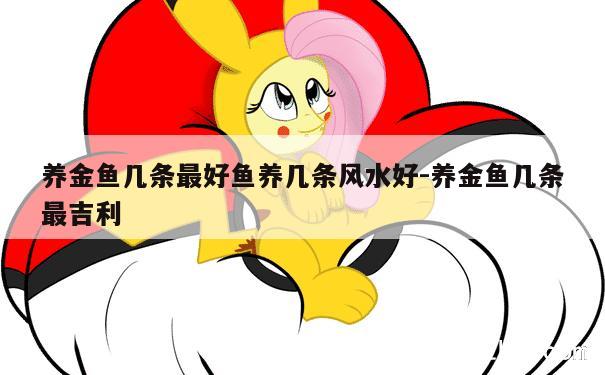 养金鱼几条最好鱼养几条风水好-养金鱼几条最吉利 第1张