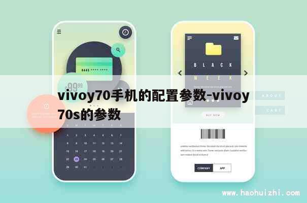 vivoy70手机的配置参数-vivoy70s的参数 第1张