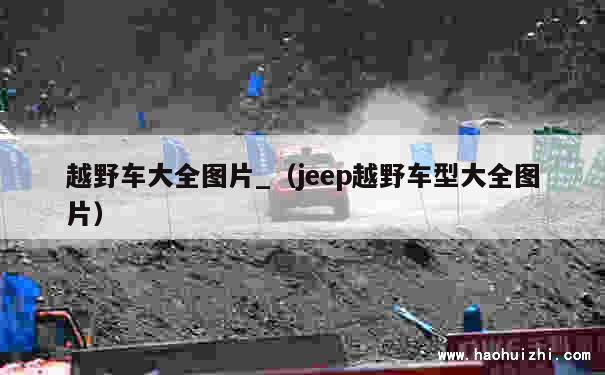 越野车大全图片_（jeep越野车型大全图片） 第1张