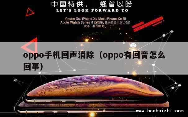 oppo手机回声消除（oppo有回音怎么回事） 第1张