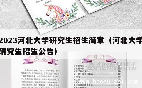 2023河北大学研究生招生简章（河北大学研究生招生公告） 第1张