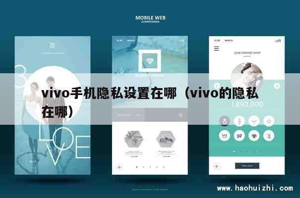 vivo手机隐私设置在哪（vivo的隐私在哪） 第1张