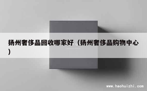 扬州奢侈品回收哪家好（扬州奢侈品购物中心） 第1张