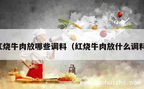 红烧牛肉放哪些调料（红烧牛肉放什么调料） 第1张