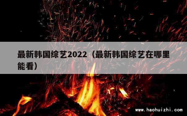 最新韩国综艺2022（最新韩国综艺在哪里能看） 第1张