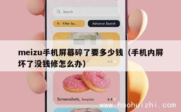 meizu手机屏幕碎了要多少钱（手机内屏坏了没钱修怎么办） 第1张