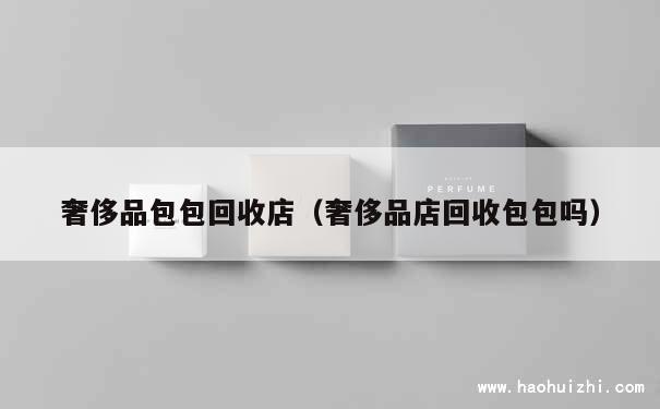 奢侈品包包回收店（奢侈品店回收包包吗） 第1张