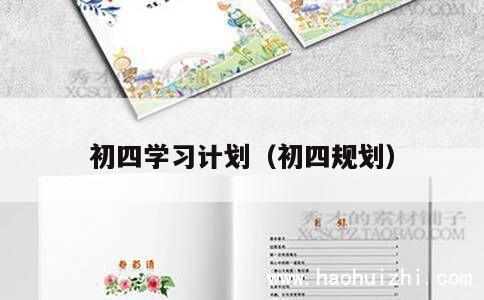 初四学习计划（初四规划） 第1张