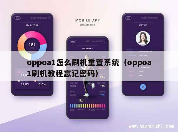 oppoa1怎么刷机重置系统（oppoa1刷机教程忘记密码） 第1张