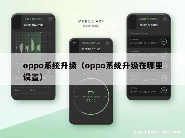 oppo系统升级（oppo系统升级在哪里设置） 第1张