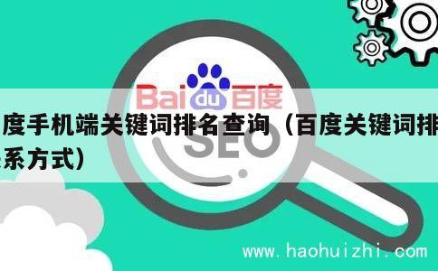 百度手机端关键词排名查询（百度关键词排名联系方式） 第1张