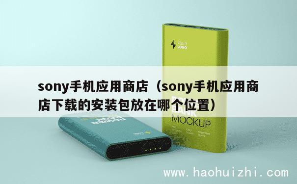 sony手机应用商店（sony手机应用商店下载的安装包放在哪个位置） 第1张