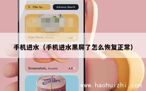 手机进水（手机进水黑屏了怎么恢复正常） 第1张
