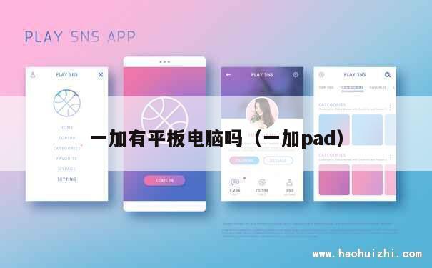 一加有平板电脑吗（一加pad） 第1张