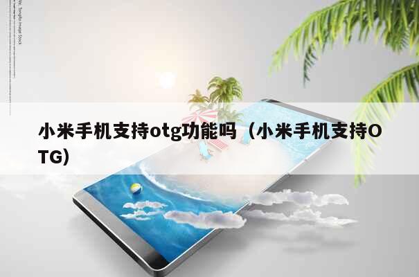 小米手机支持otg功能吗（小米手机支持OTG） 第1张