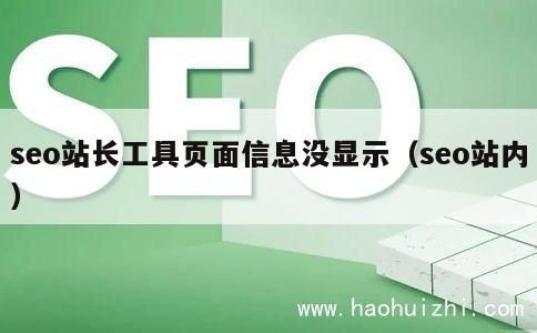 seo站长工具页面信息没显示（seo站内） 第1张