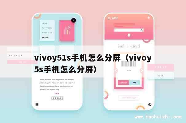 vivoy51s手机怎么分屏（vivoy5s手机怎么分屏） 第1张