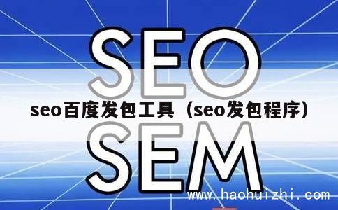 seo百度发包工具（seo发包程序） 第1张