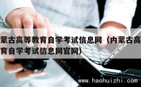 内蒙古高等教育自学考试信息网（内蒙古高等教育自学考试信息网官网） 第1张